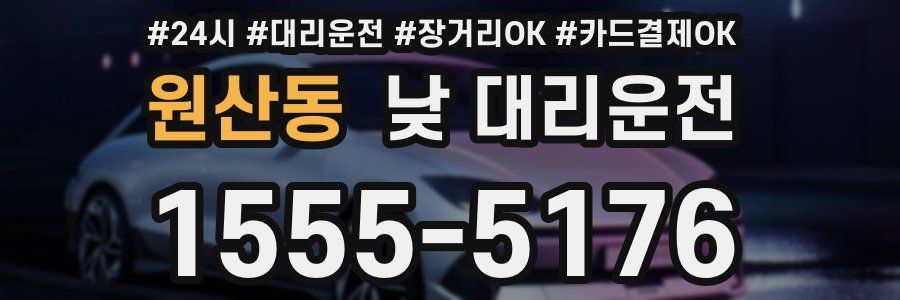 원산동 낮 대리운전