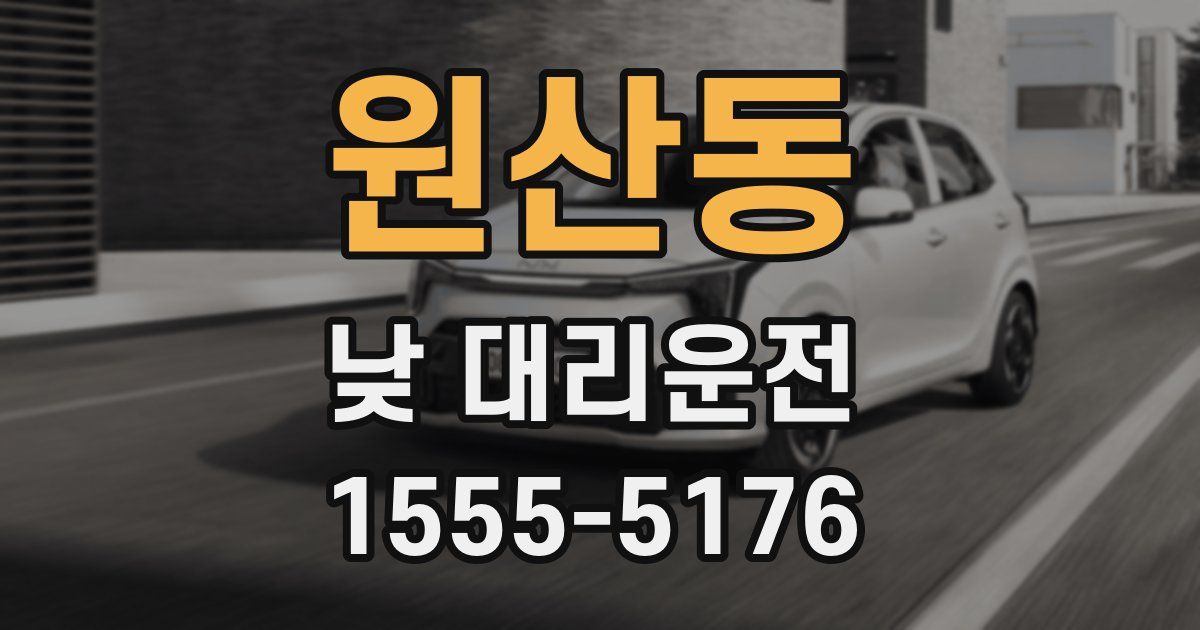 원산동 낮 대리운전