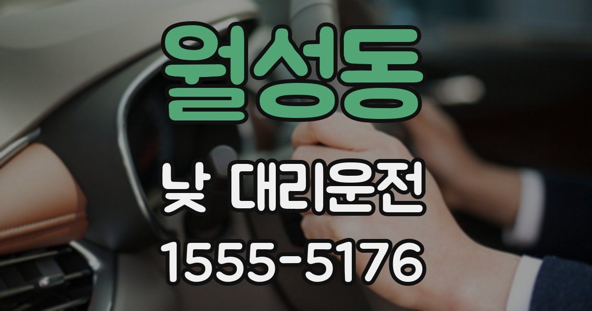 월성동 낮 대리운전
