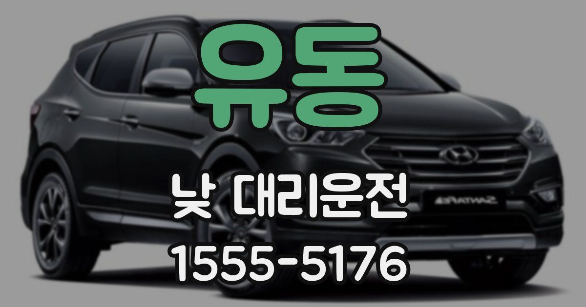 유동 낮 대리운전
