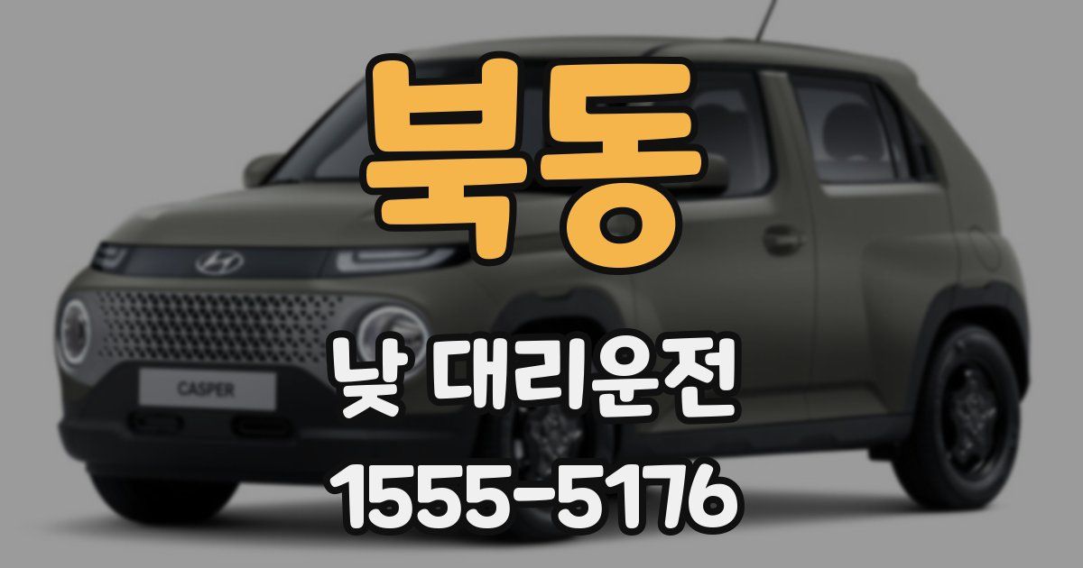 북동 낮 대리운전