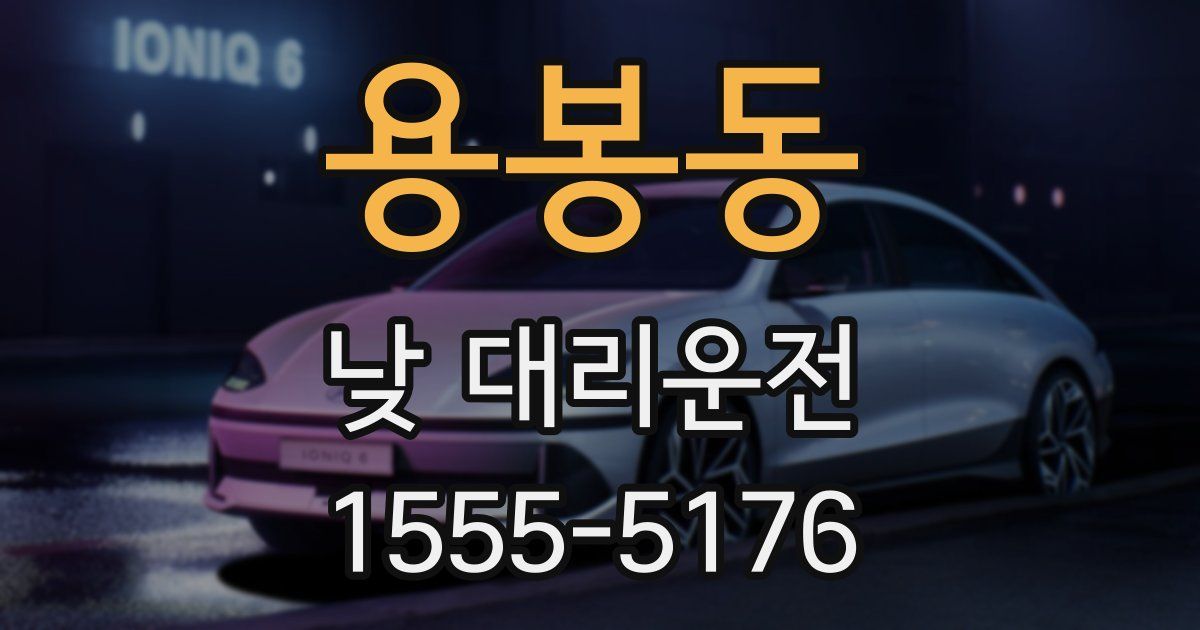 용봉동 낮 대리운전