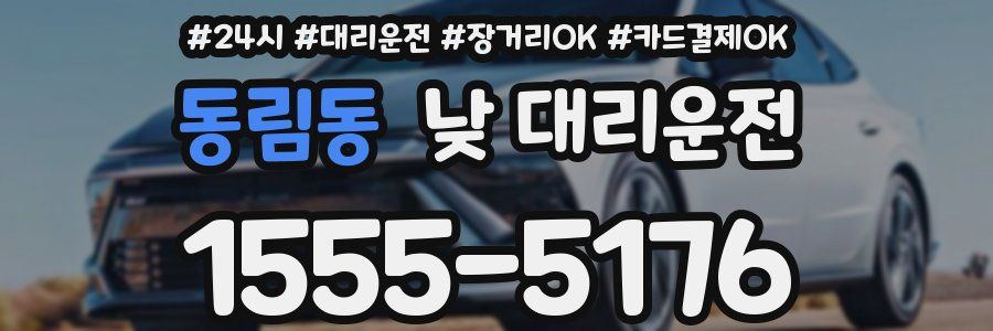 동림동 낮 대리운전