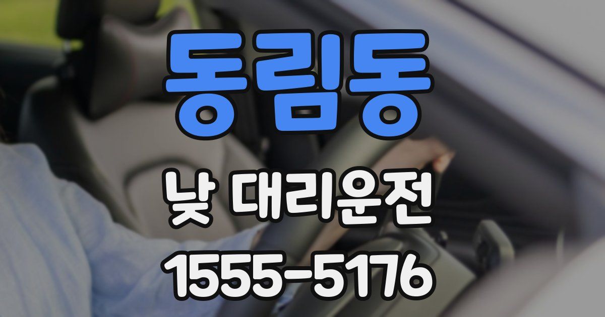 동림동 낮 대리운전