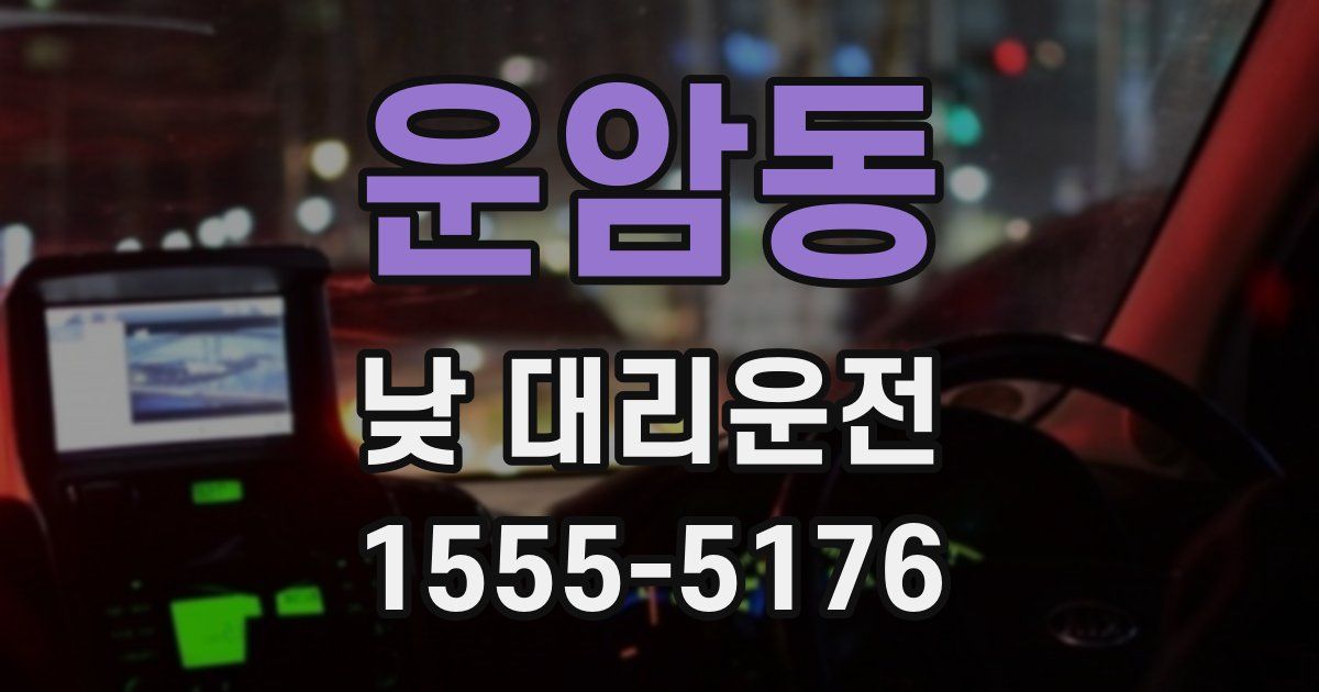운암동 낮 대리운전