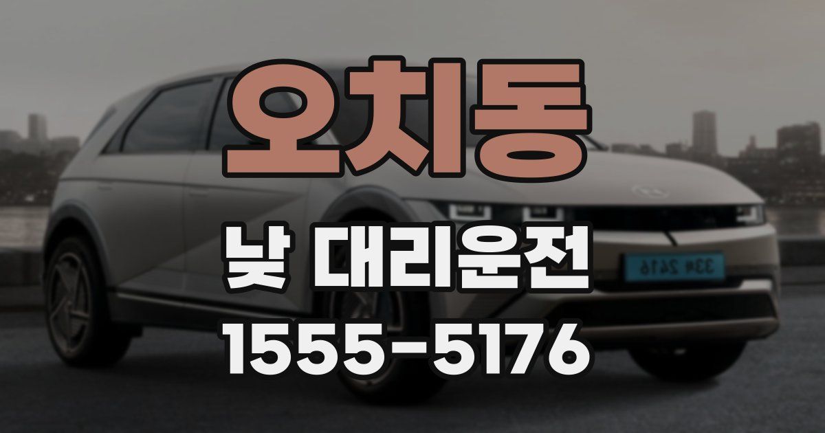 오치동 낮 대리운전