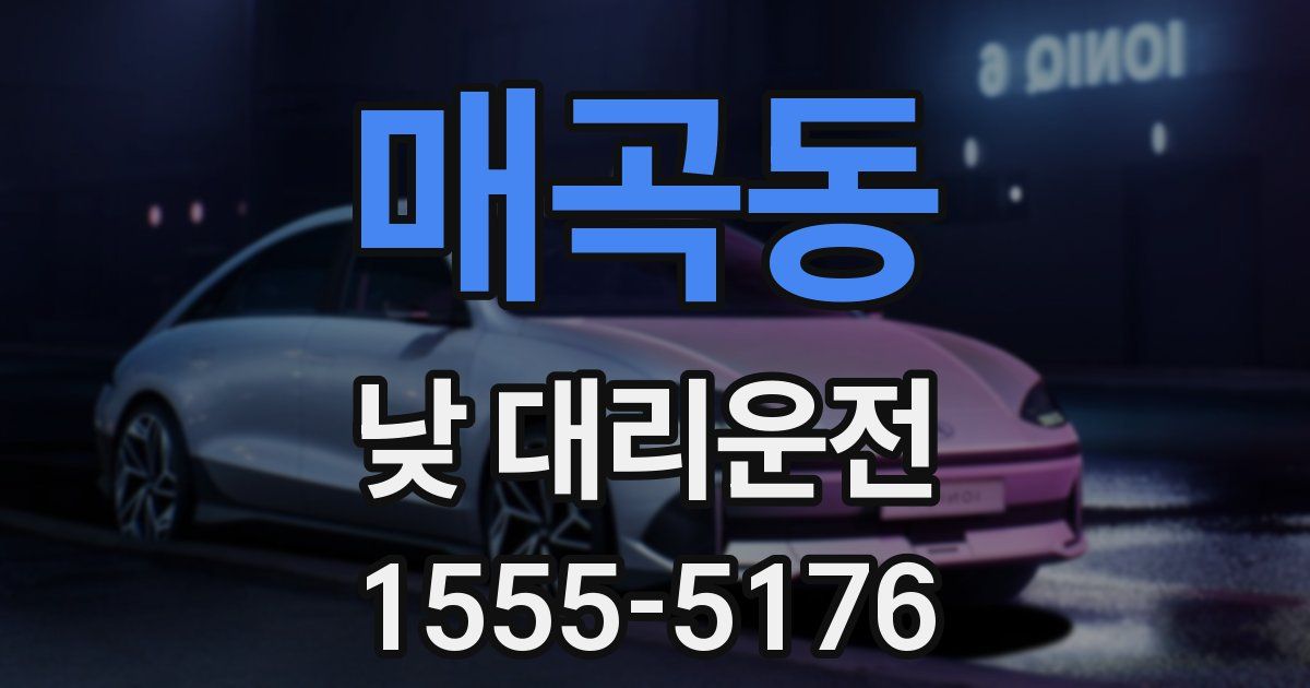 매곡동 낮 대리운전