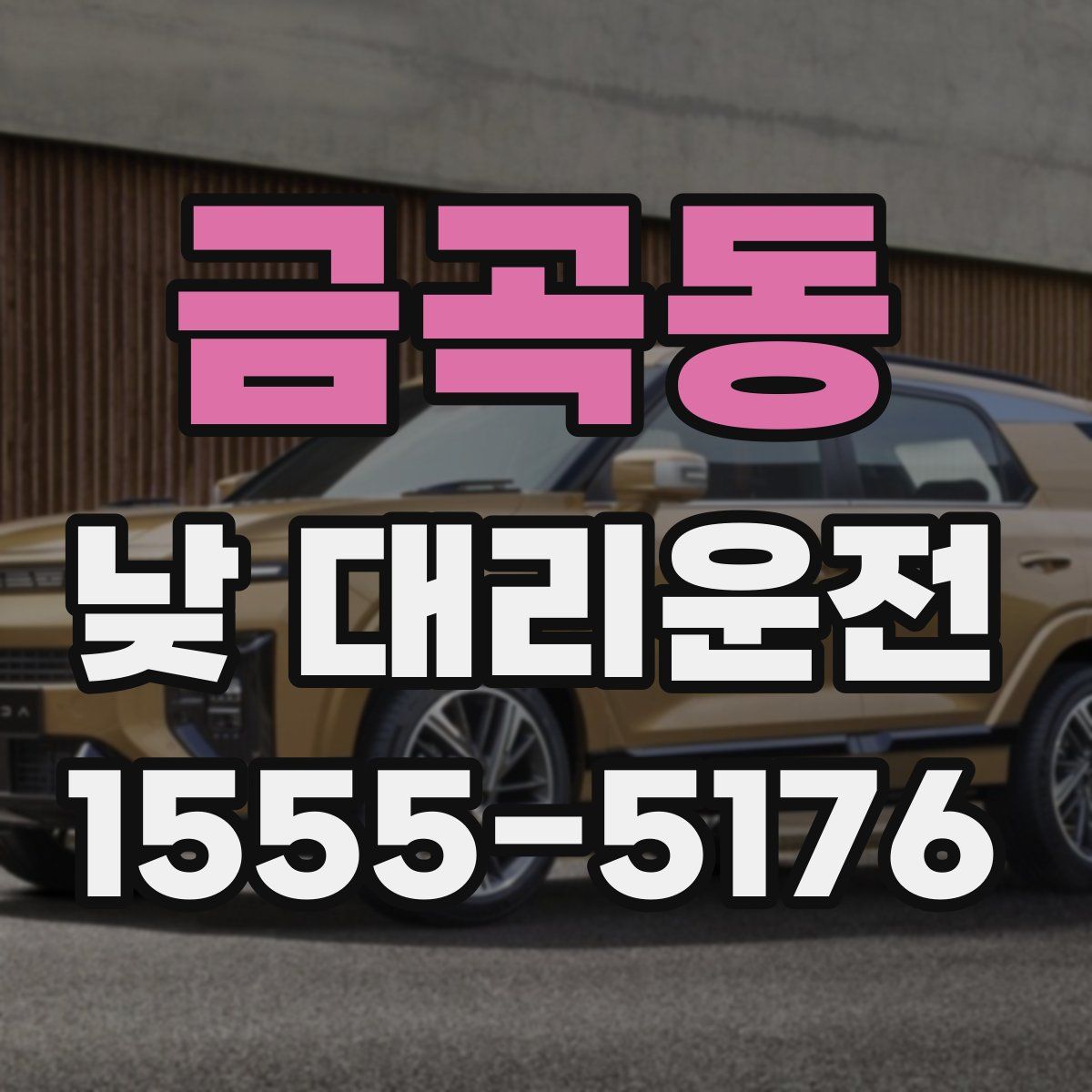 금곡동 낮 대리운전