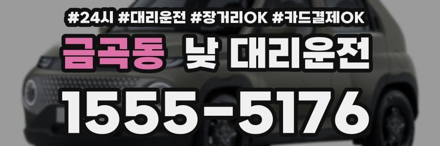 금곡동 낮 대리운전