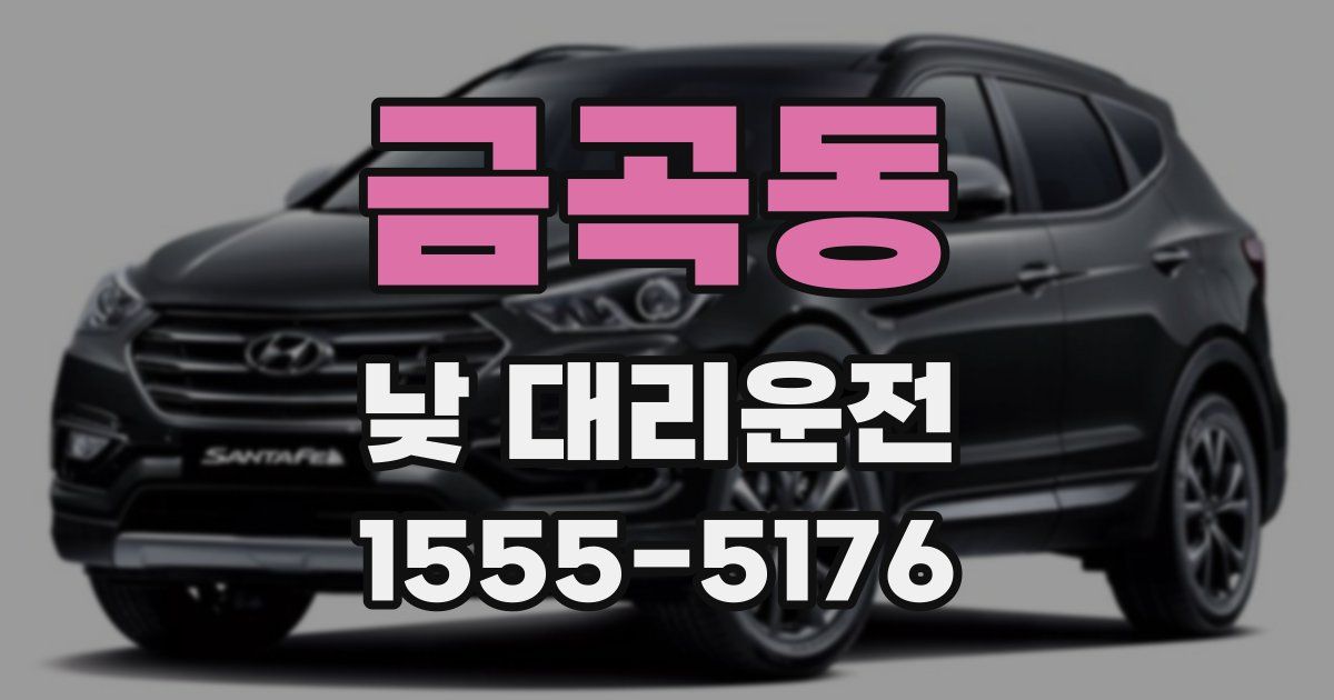 금곡동 낮 대리운전
