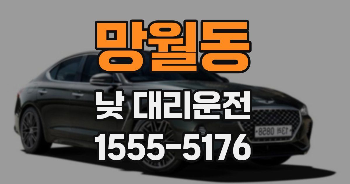 망월동 낮 대리운전