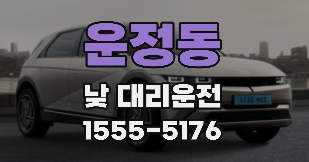 운정동 낮 대리운전