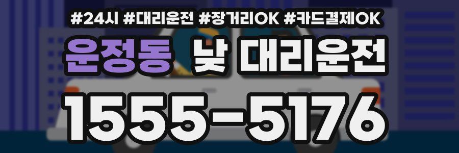 운정동 낮 대리운전