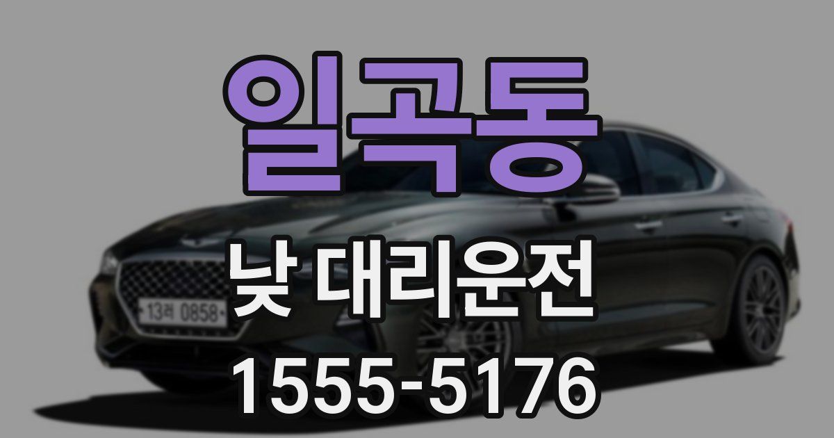 일곡동 낮 대리운전