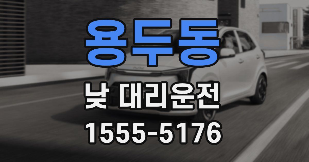 용두동 낮 대리운전