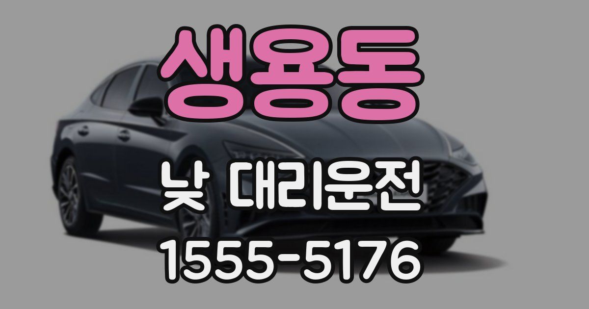생용동 낮 대리운전
