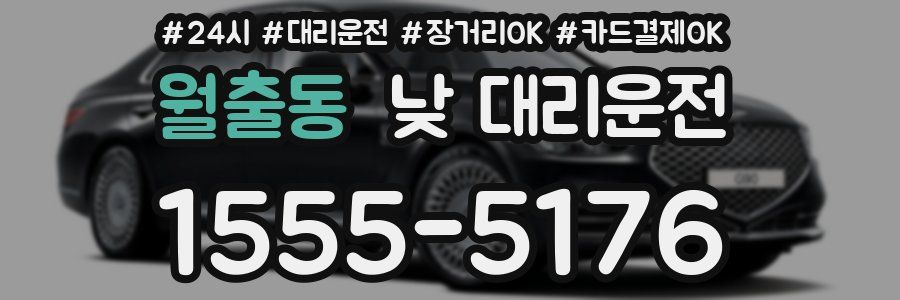 월출동 낮 대리운전