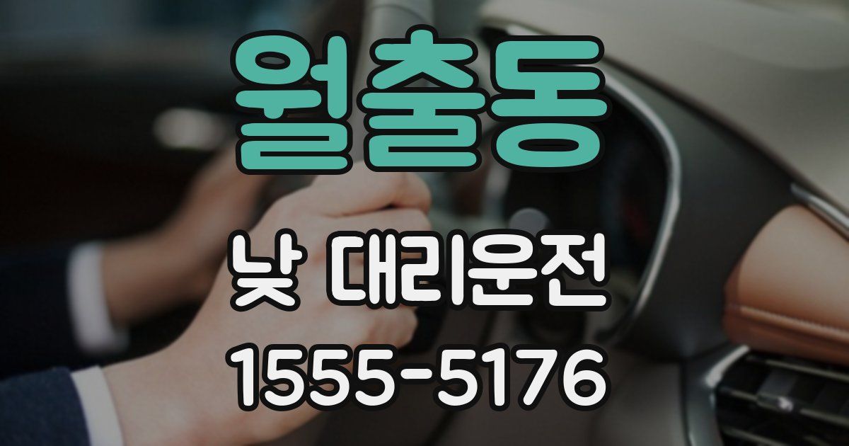 월출동 낮 대리운전