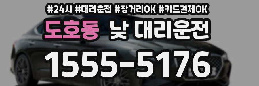 도호동 낮 대리운전