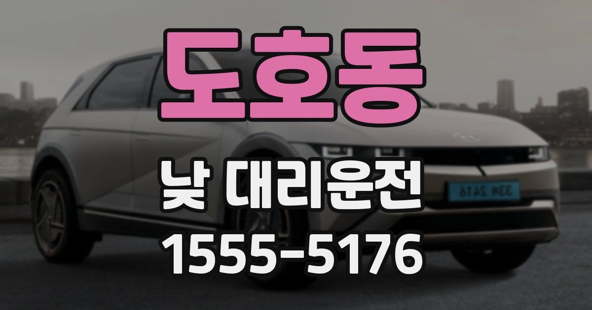 도호동 낮 대리운전