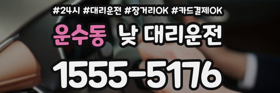 운수동 낮 대리운전