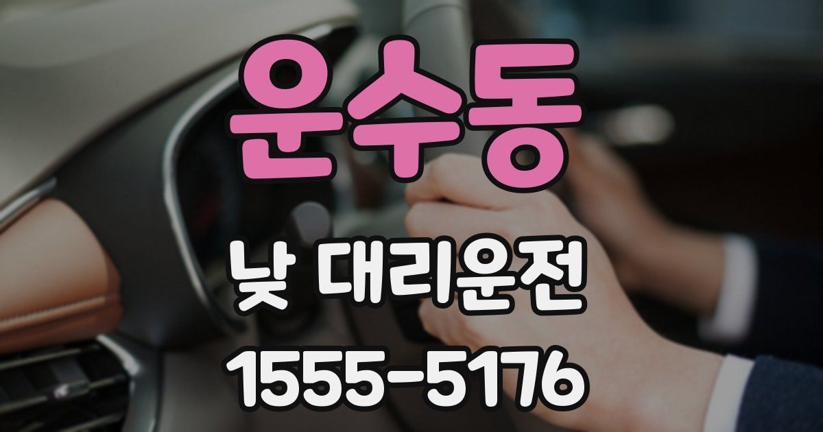 운수동 낮 대리운전