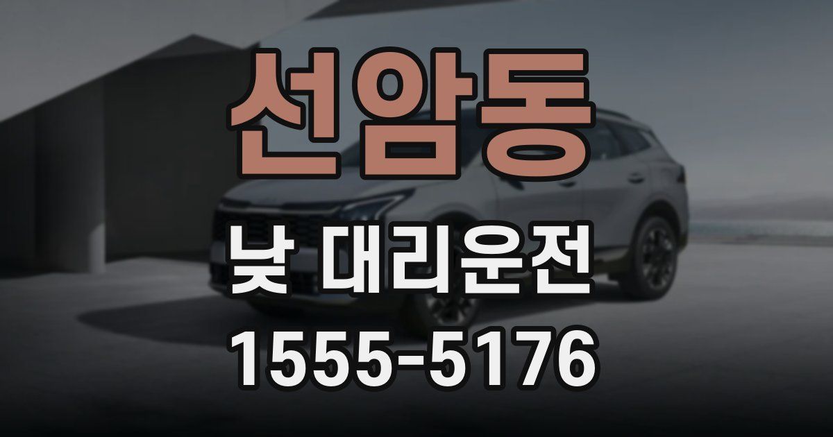 선암동 낮 대리운전