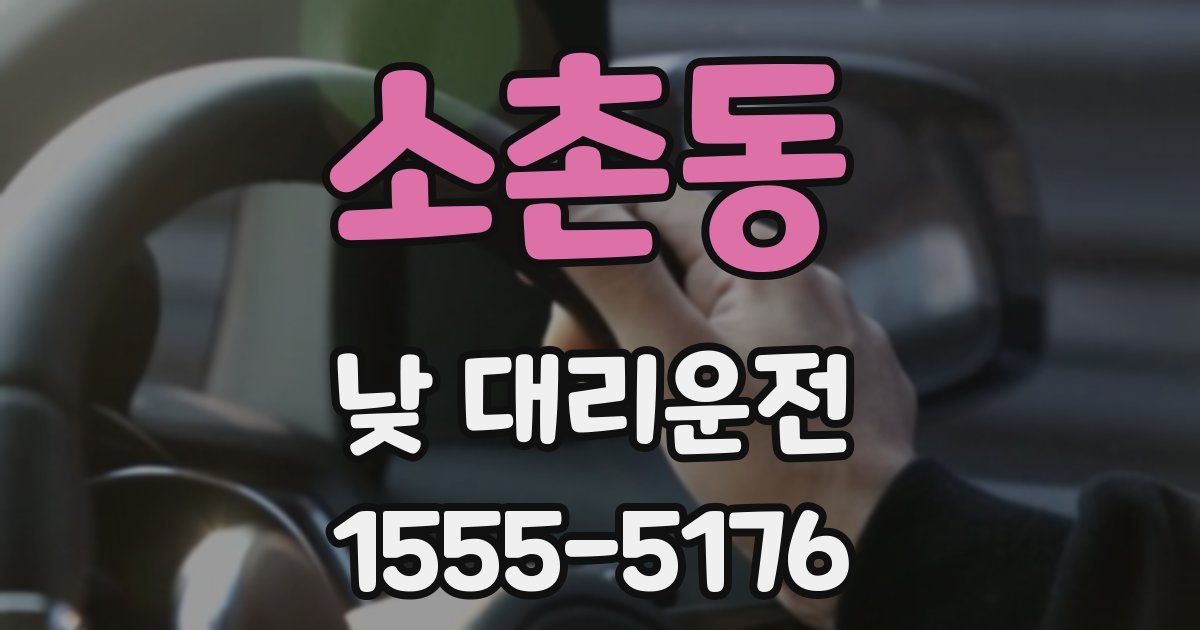 소촌동 낮 대리운전