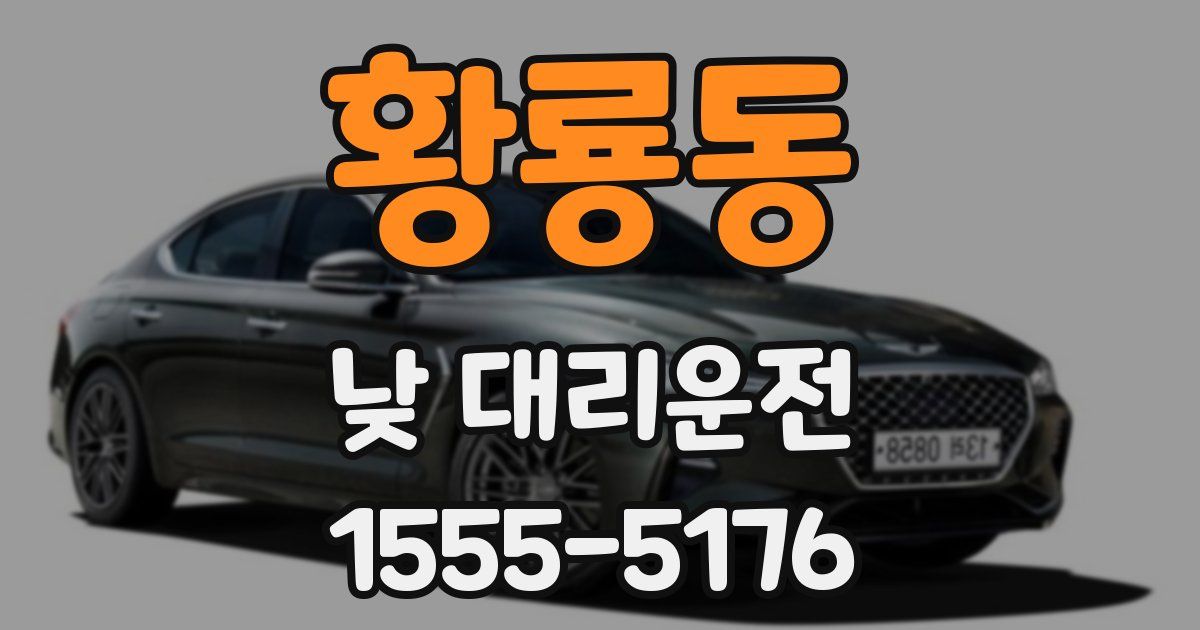 황룡동 낮 대리운전