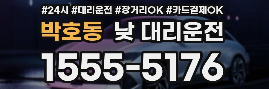 박호동 낮 대리운전