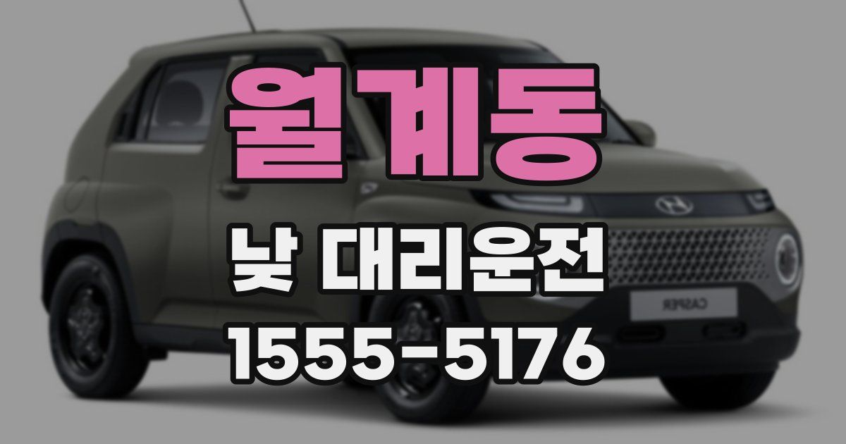 월계동 낮 대리운전