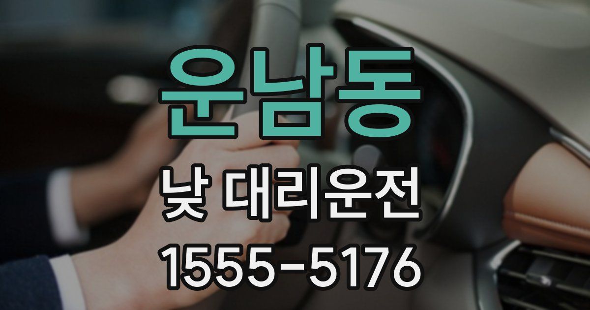 운남동 낮 대리운전