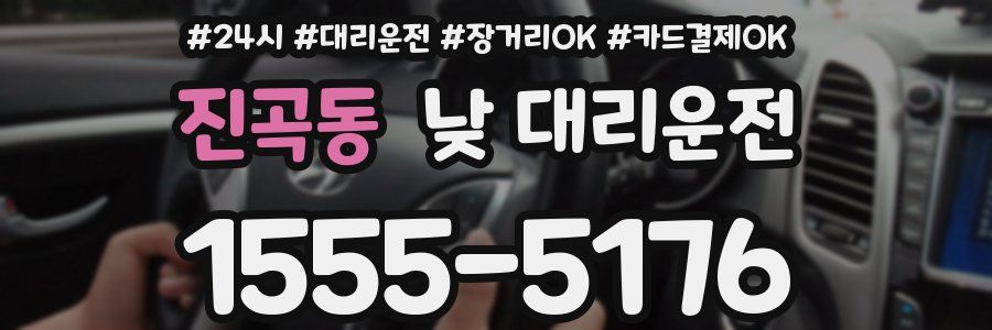 진곡동 낮 대리운전