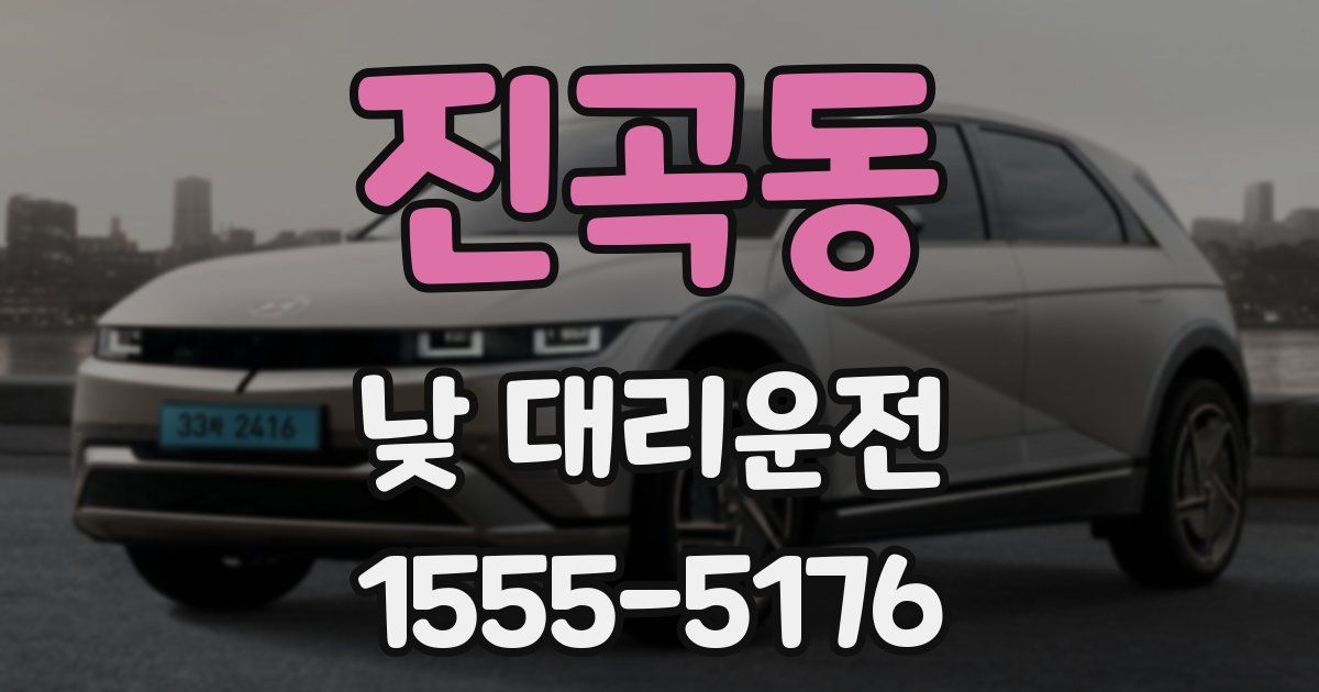 진곡동 낮 대리운전