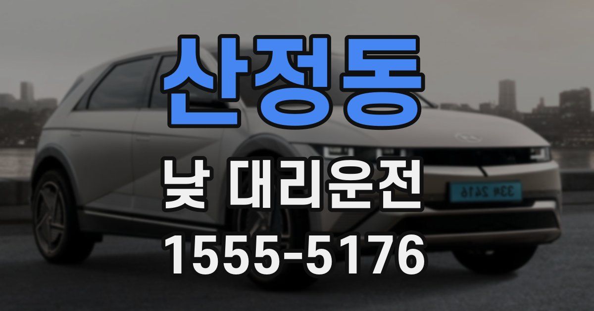 산정동 낮 대리운전