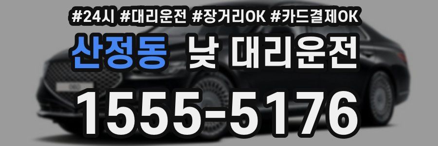산정동 낮 대리운전
