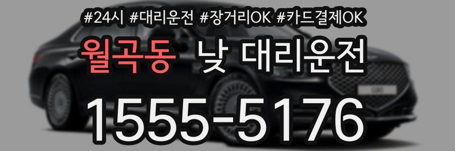 월곡동 낮 대리운전