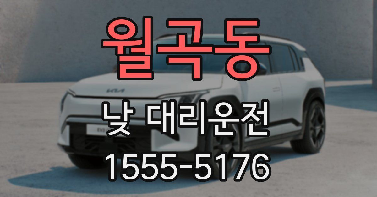 월곡동 낮 대리운전