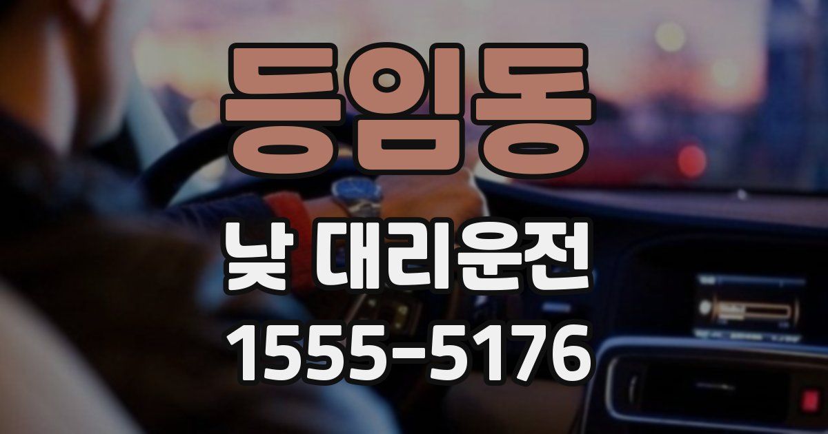 등임동 낮 대리운전
