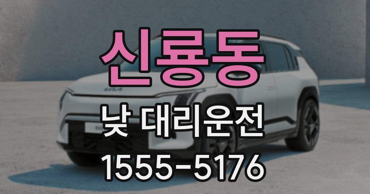 신룡동 낮 대리운전