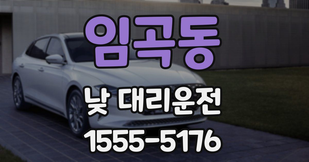 임곡동 낮 대리운전