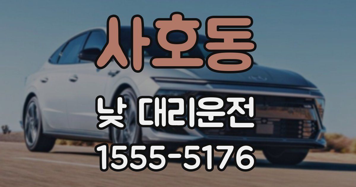 사호동 낮 대리운전