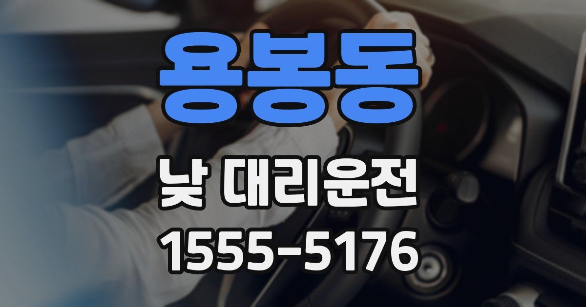 용봉동 낮 대리운전