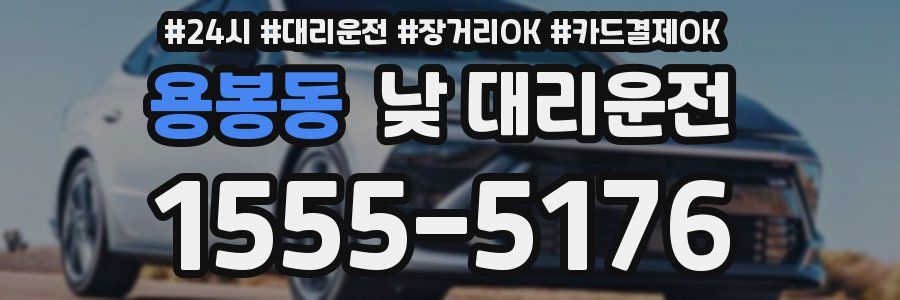 용봉동 낮 대리운전