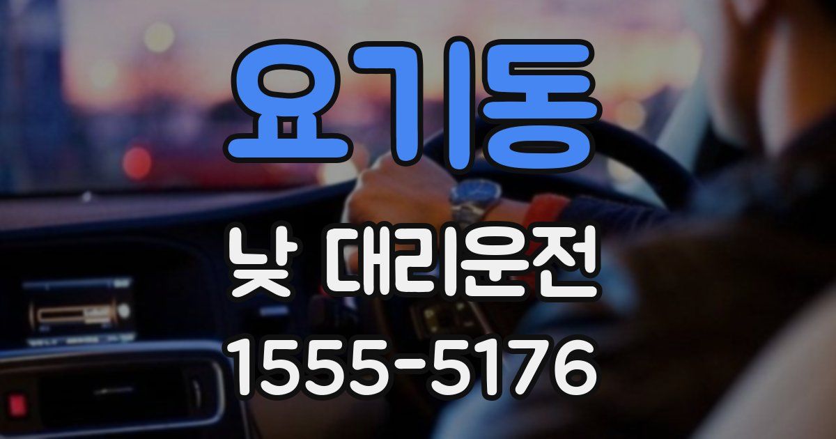 요기동 낮 대리운전