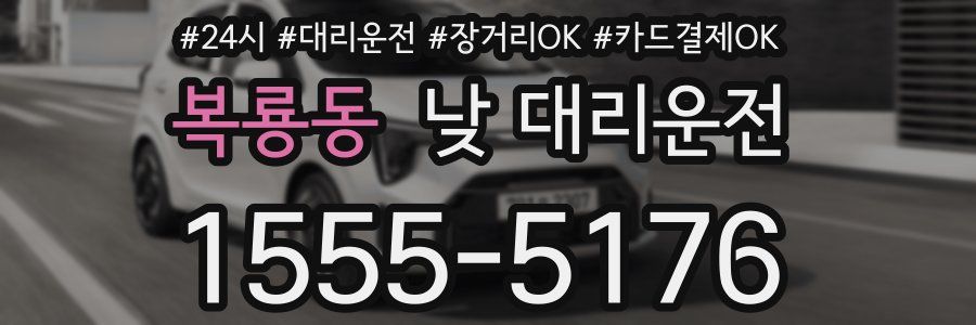 복룡동 낮 대리운전