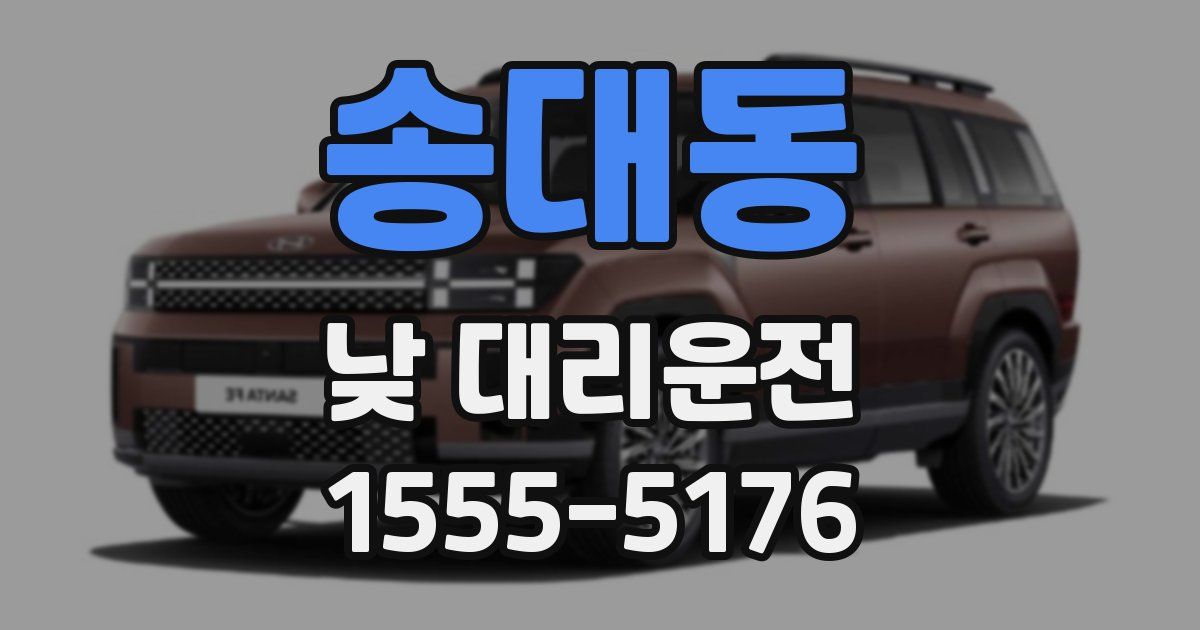 송대동 낮 대리운전