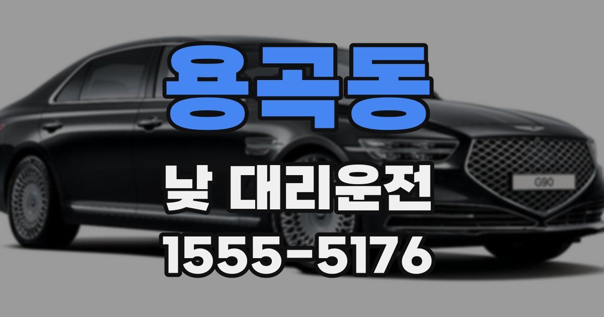 용곡동 낮 대리운전