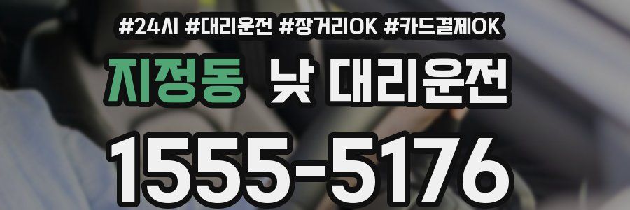 지정동 낮 대리운전