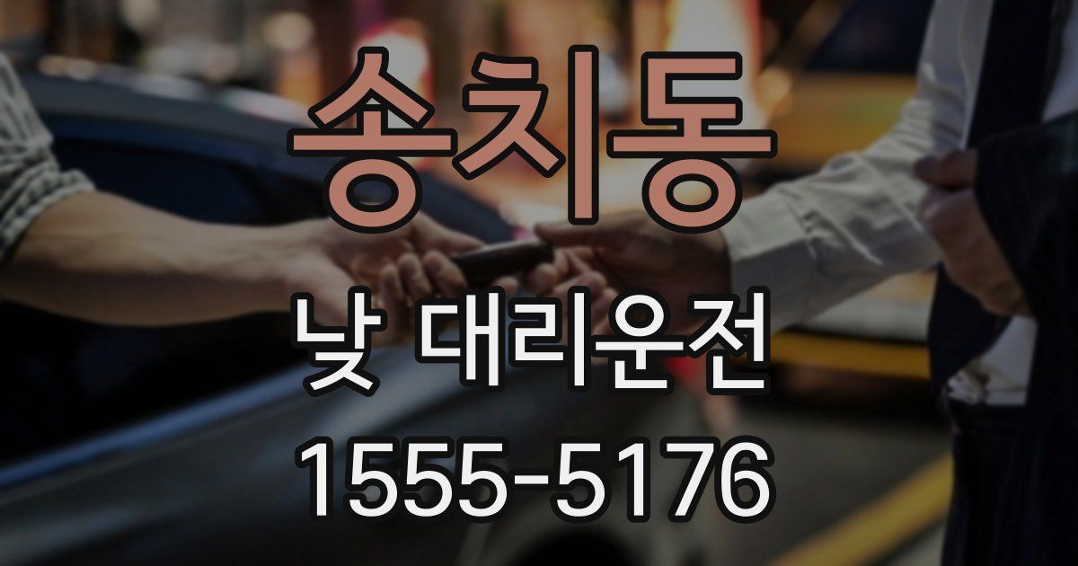 송치동 낮 대리운전
